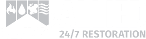 Allied 247 White 1 300x81 1